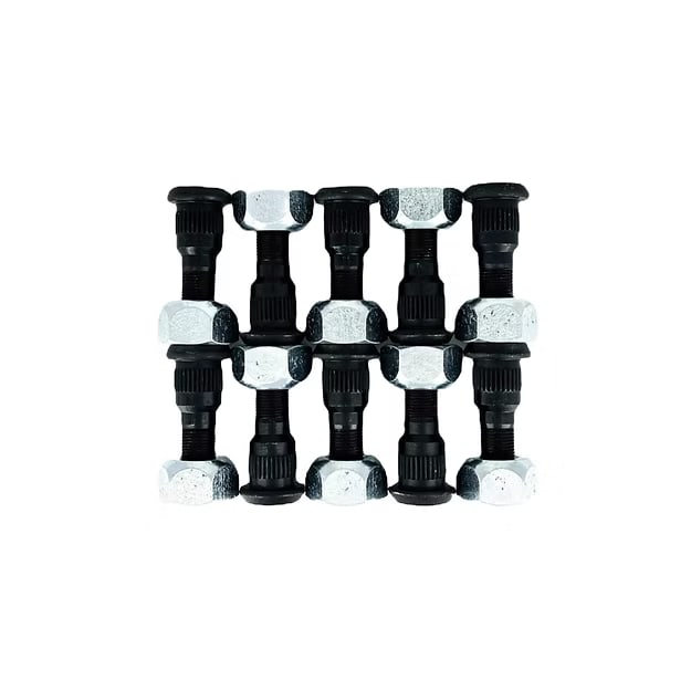 5 Ton RH Lugs and Stud Kit (10)